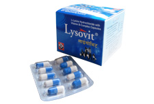 Lysovit Capsules